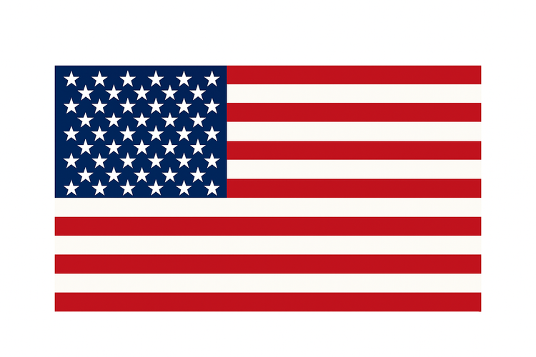 Bolt Action USA