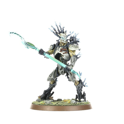Warhammer Age of Sigmar: Sylvaneth - Kurnoth Hunters