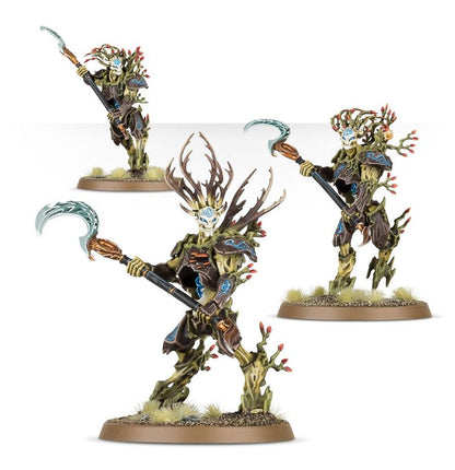 Warhammer Age of Sigmar: Sylvaneth - Kurnoth Hunters