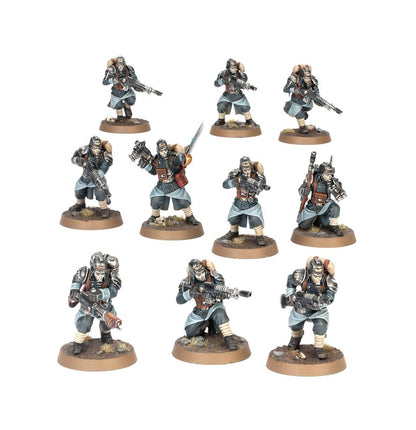 Warhammer 40k: Astra Militarum - Death Korps of Krieg
